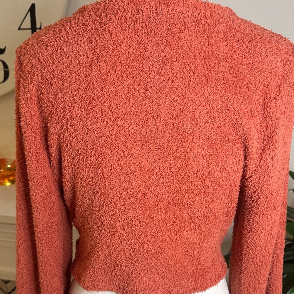 Altar'd State Rust Crop Top - Picture 4 of 7